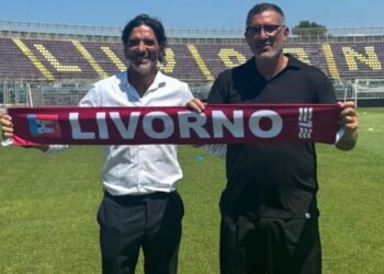 Lucarelli