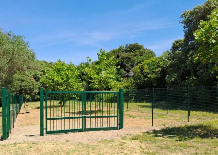 Sgambatura per cani