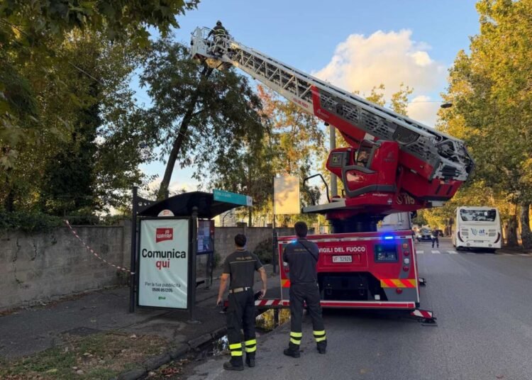 EMERGENZA MALTEMPO