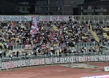Urban Livorno - immagine 5