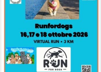 run for dogs