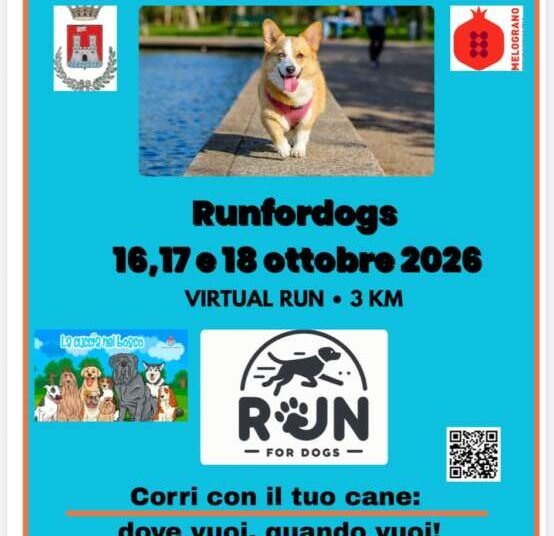 run for dogs