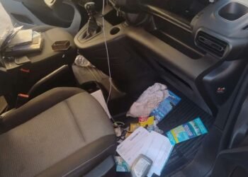 Auto rovistate